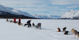 Kanada-Expeditionen: Huskyschlitten-Tour im Yukon-Territory / Fishlake bei Whitehorse